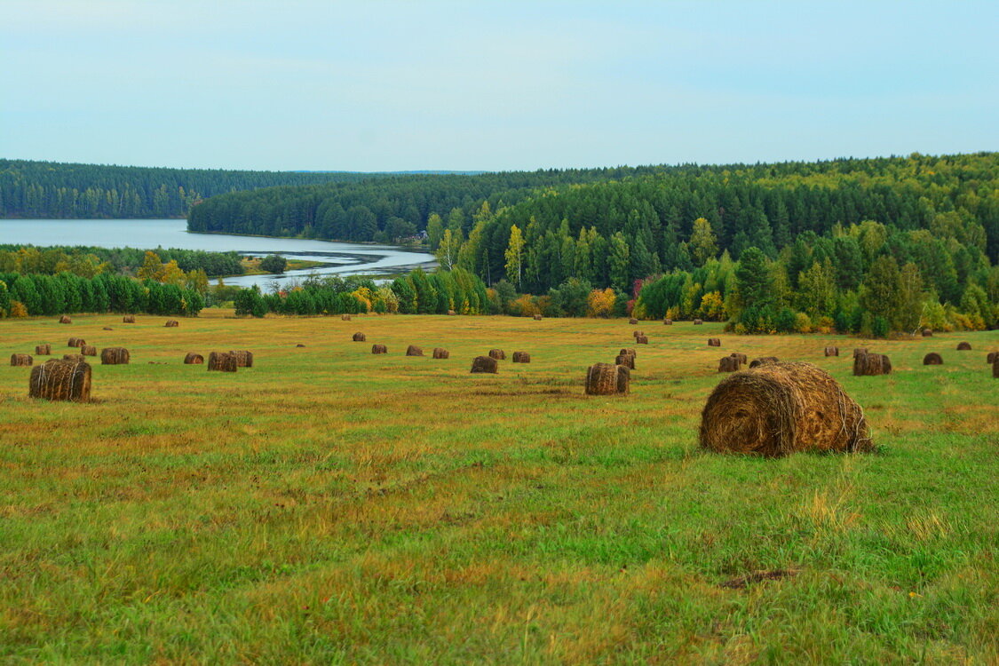 *** - Александр 