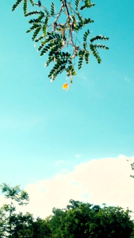 ОБОД (22) - OPEN WAYS ALL ОБОД (22) - OPEN WAYS ALL