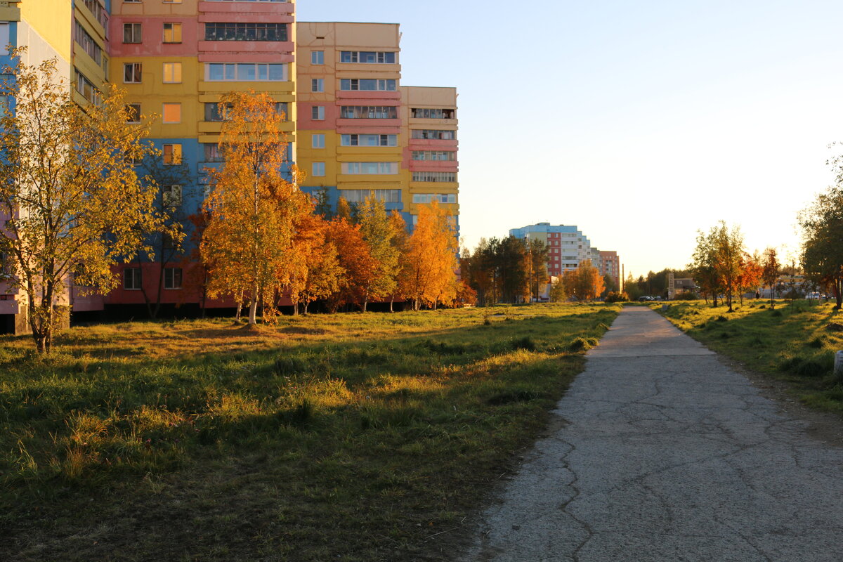 Городская осень - Ольга 