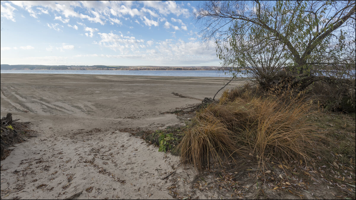 Волга - **** vedin