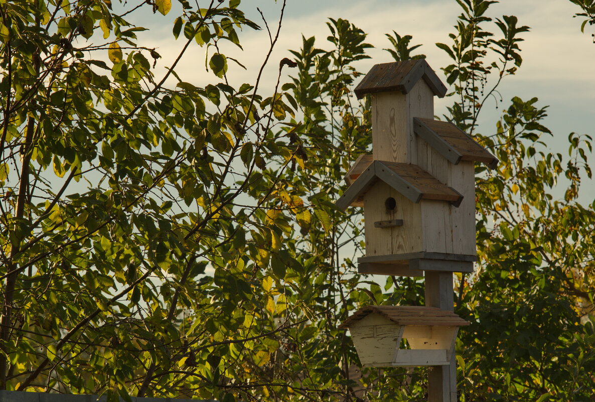 Таунхаус. - Михаил Полыгалов Таунхаус. - Михаил Полыгалов