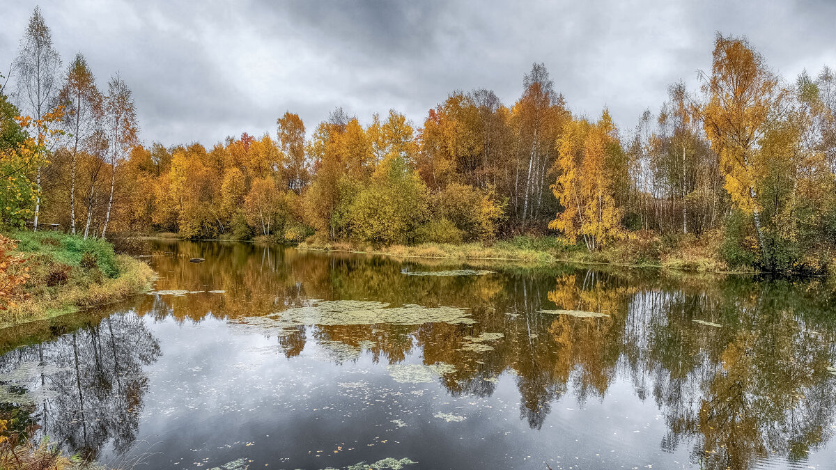 Прудик - Александр Гурьянов Прудик - Александр Гурьянов