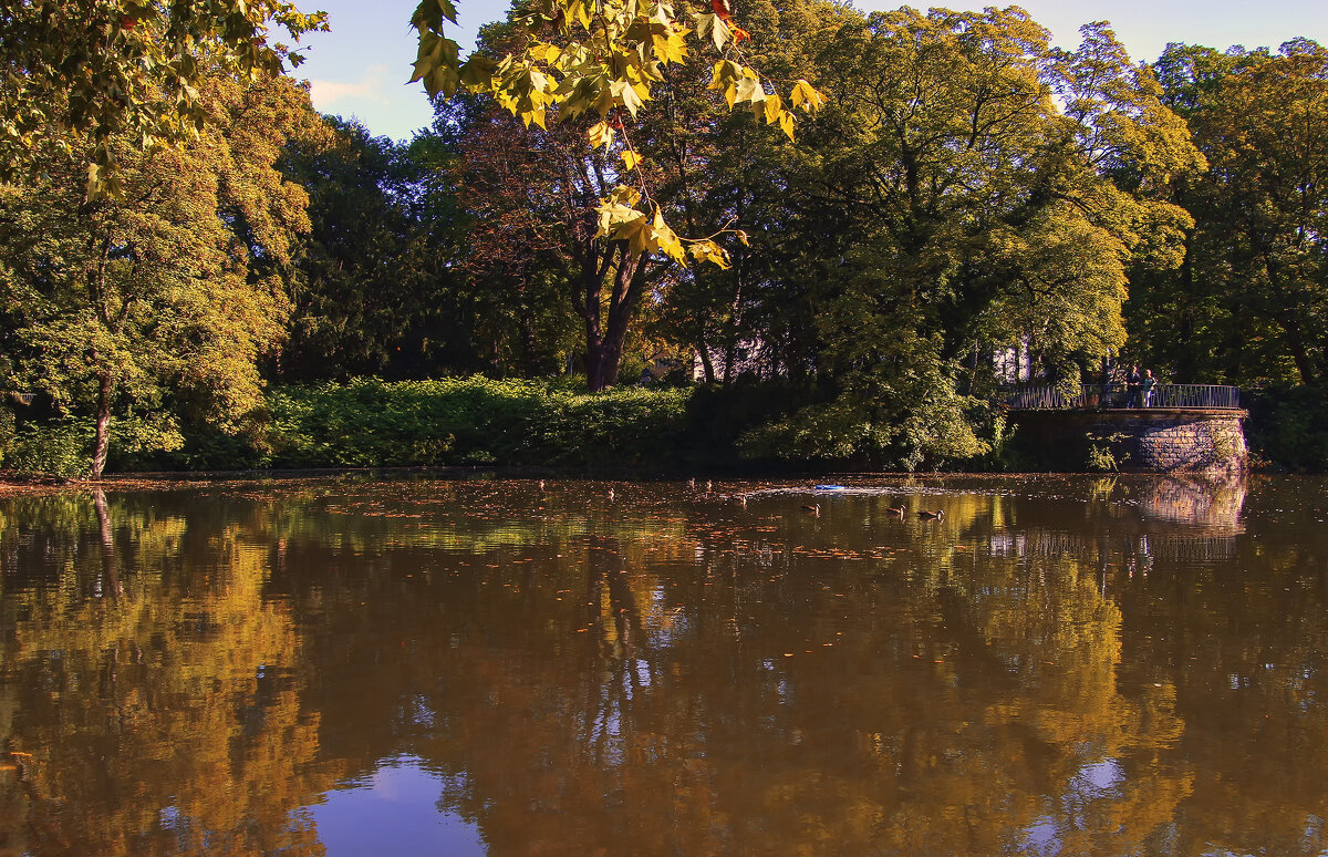 **** - Alexander Andronik