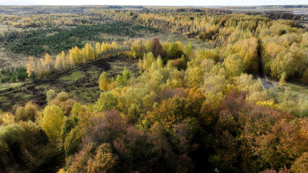 осень - Grabilovka Калиниченко