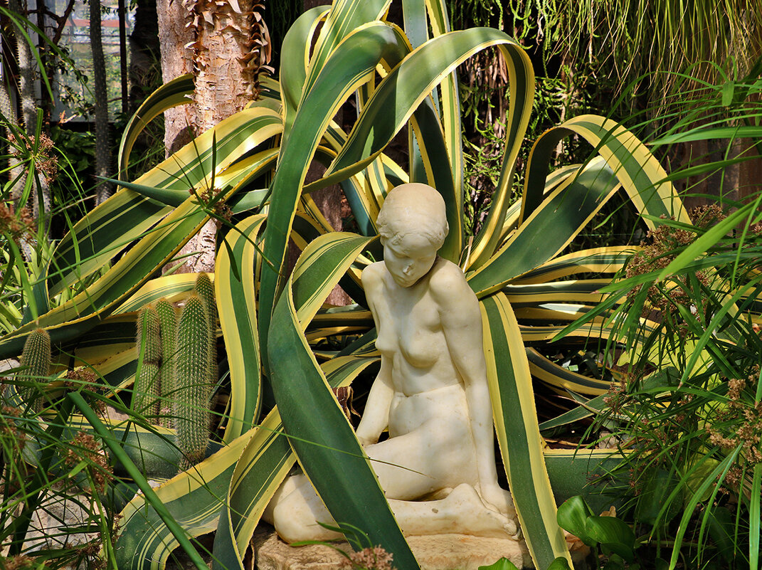 В кактусярии Никитского ботанического сада - Светлана 