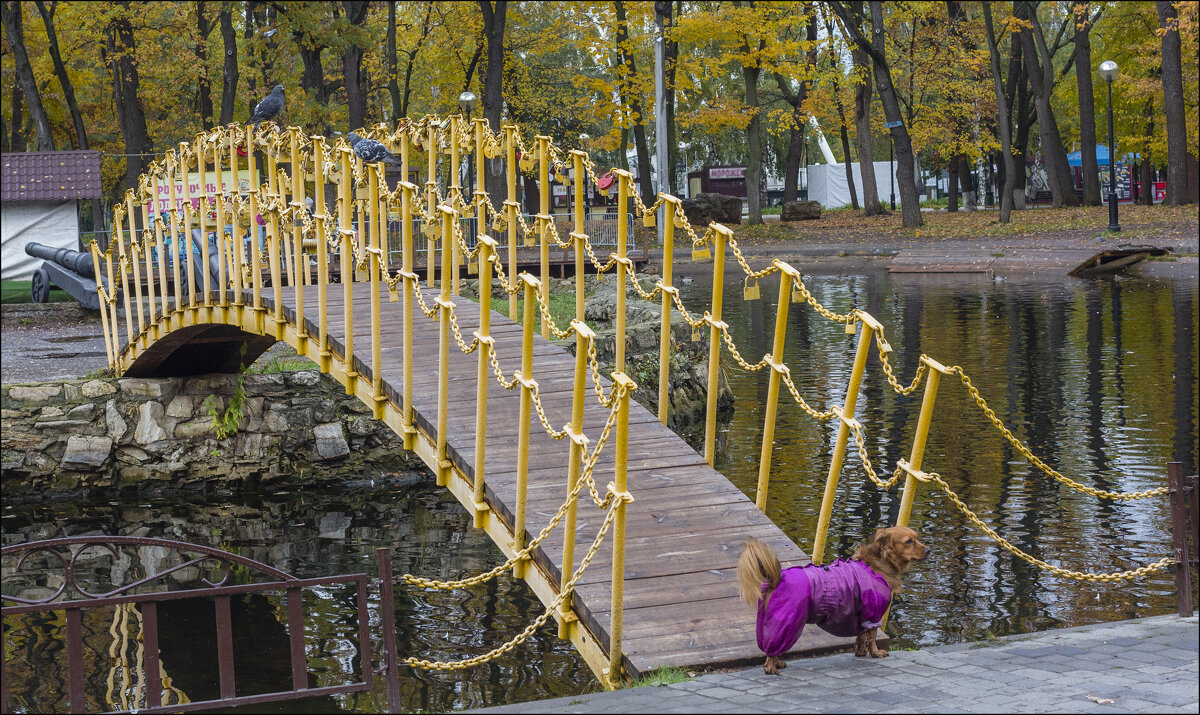 Мостик - Александр Тарноградский