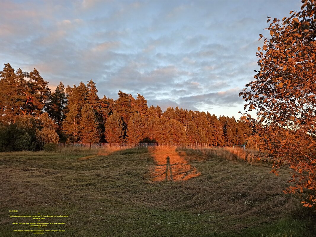 Вечерело,  Ефимов бор - svk *