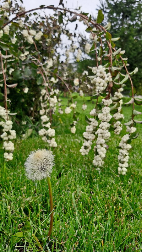 Из цикла "Причуды октября" 2 - Владимир Насыпаный Из цикла "Причуды октября" 2 - Владимир Насыпаный