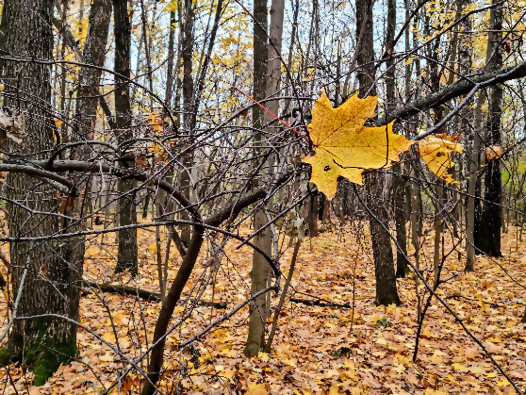 *** - Александр Гурьянов