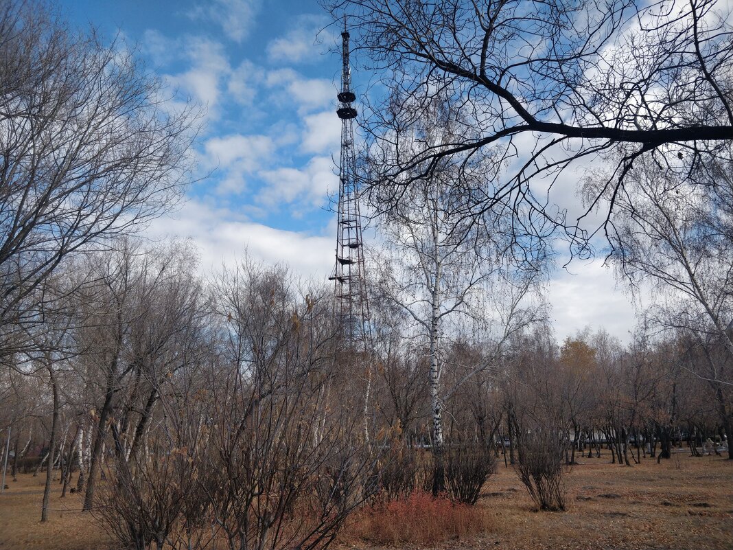 В городе Солнца - Андрей Хлопонин