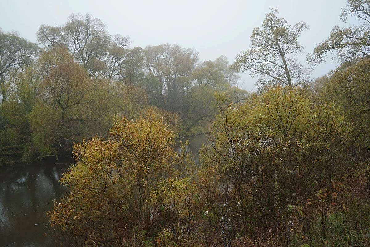 Пейзаж в октябре - Сергей Курников