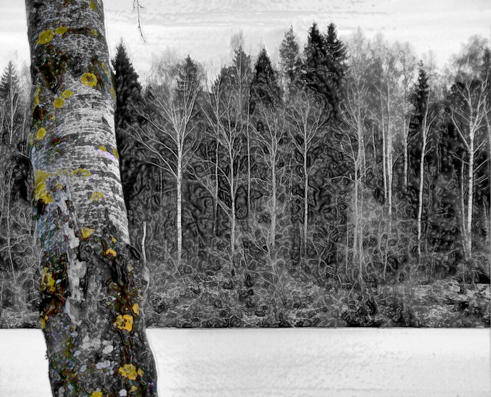 Чёрно-белое... с надеждой - Елена Строганова Чёрно-белое... с надеждой - Елена Строганова