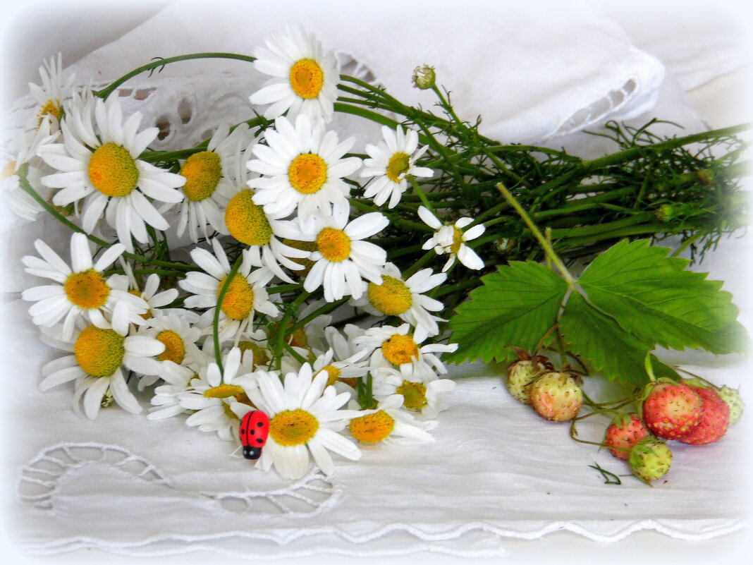 Ромашечки. - nadyasilyuk Вознюк