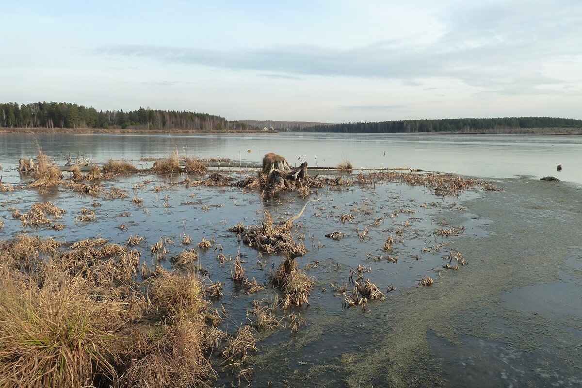 Трон для Водяного - Наталья Т