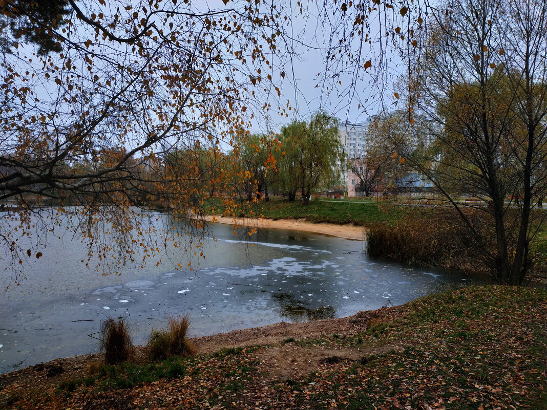 Осень осени - Андрей Лукьянов