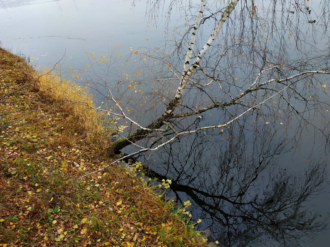 Кто-нибудь же должен снимать ноябрь! - Андрей Лукьянов Кто-нибудь же должен снимать ноябрь! - Андрей Лукьянов