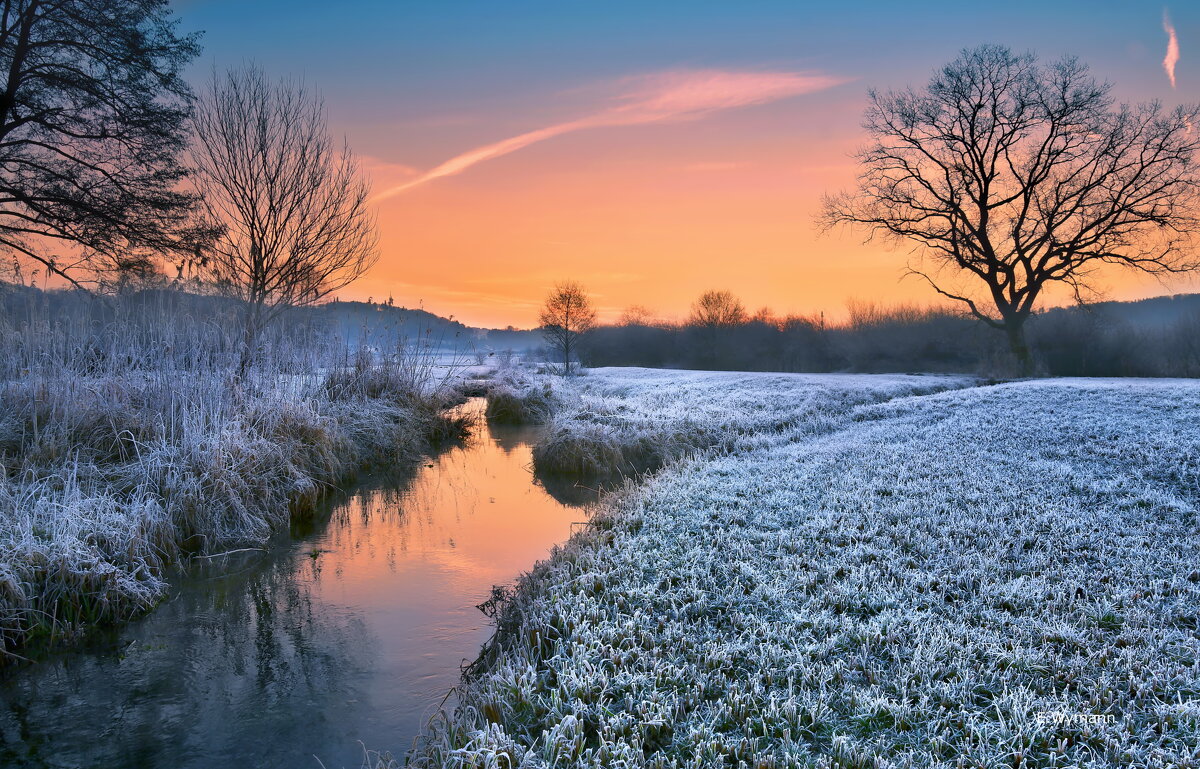winter morning - Elena Wymann winter morning - Elena Wymann