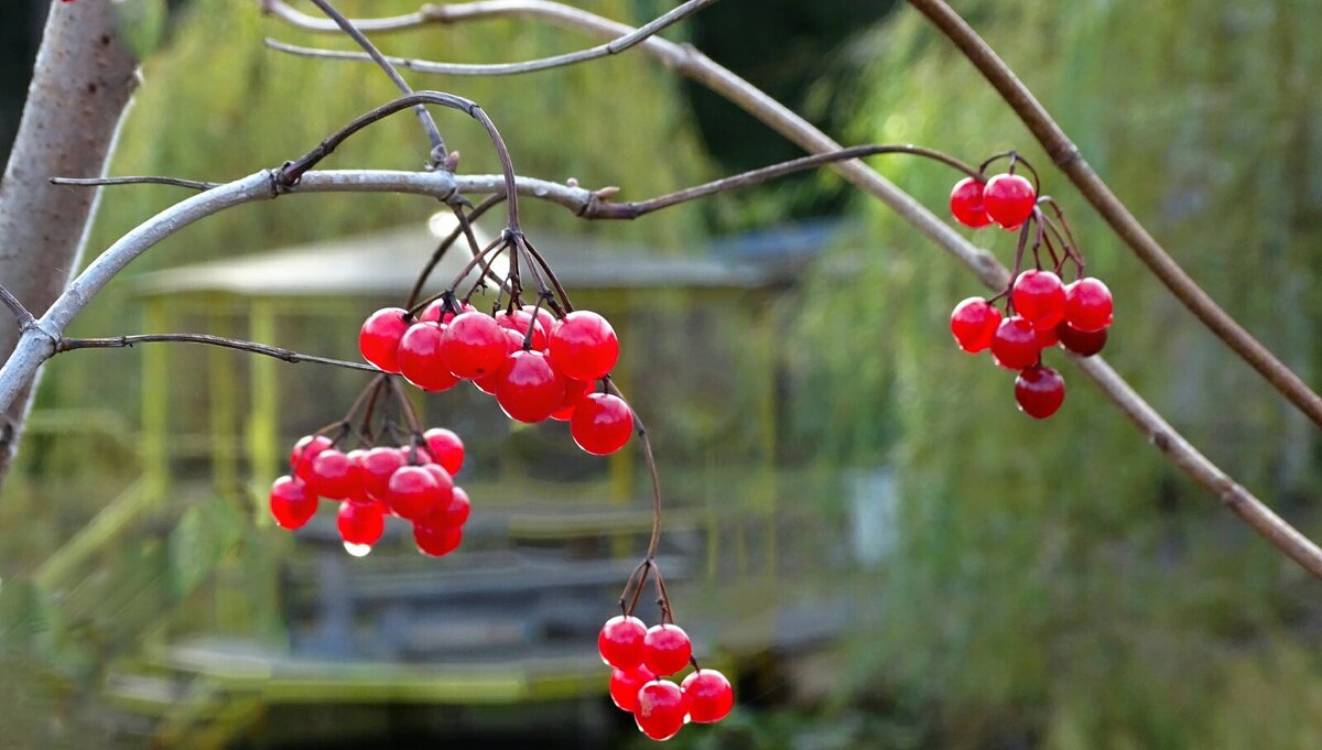 Ноябрь. - Милешкин Владимир Алексеевич Ноябрь. - Милешкин Владимир Алексеевич
