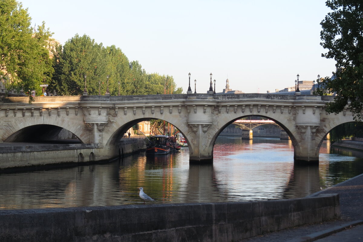 Новый мост - Понт Нёф (Pont Neuf). - ИРЭН@ .