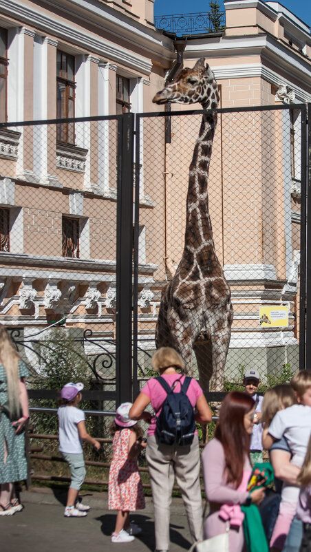 - вы мне тоже интересны - Алексей Воскобойников