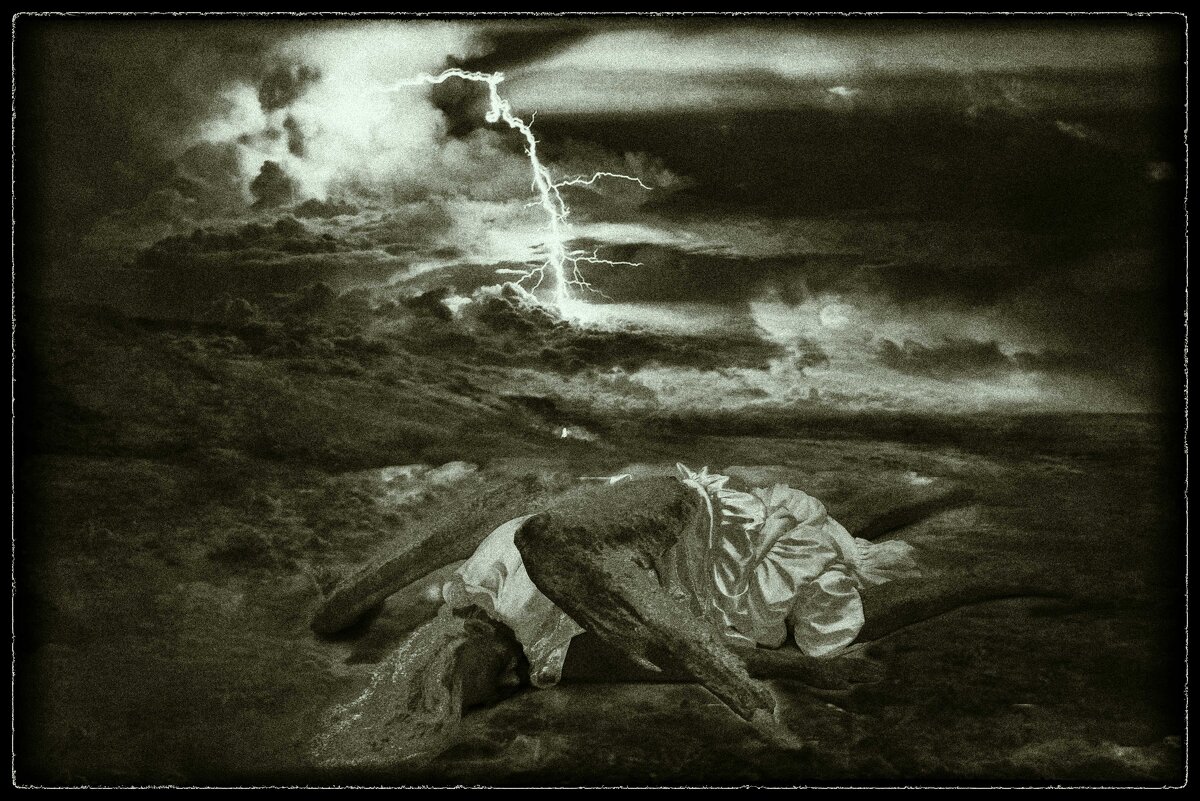 "Пал". - Журавлев Владимир 