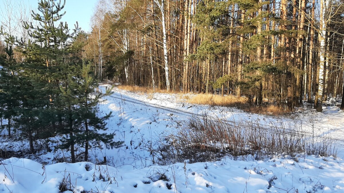 Где-то за городом... - Наталья Герасимова