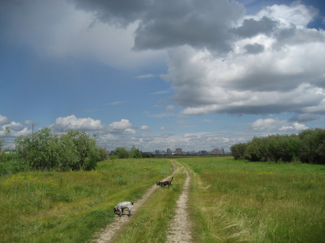 Лето - Anna Ivanova