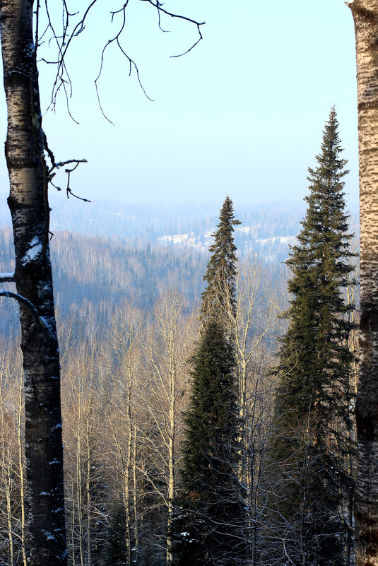 Зима. - Радмир Арсеньев