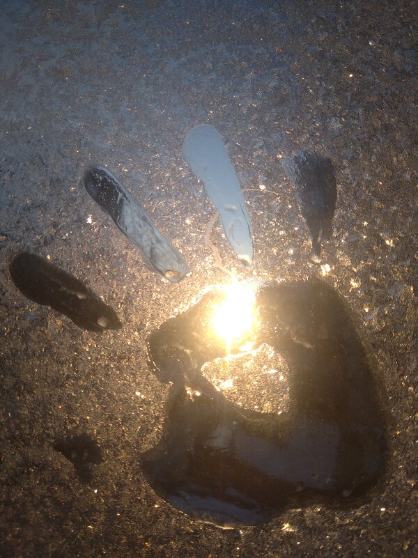 ... - Анна Арсабиева ... - Анна Арсабиева