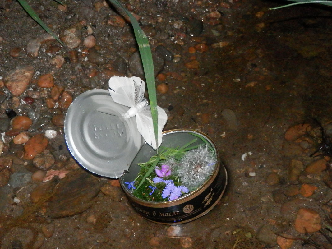 Законсервированное лето - Мария Попова Законсервированное лето - Мария Попова