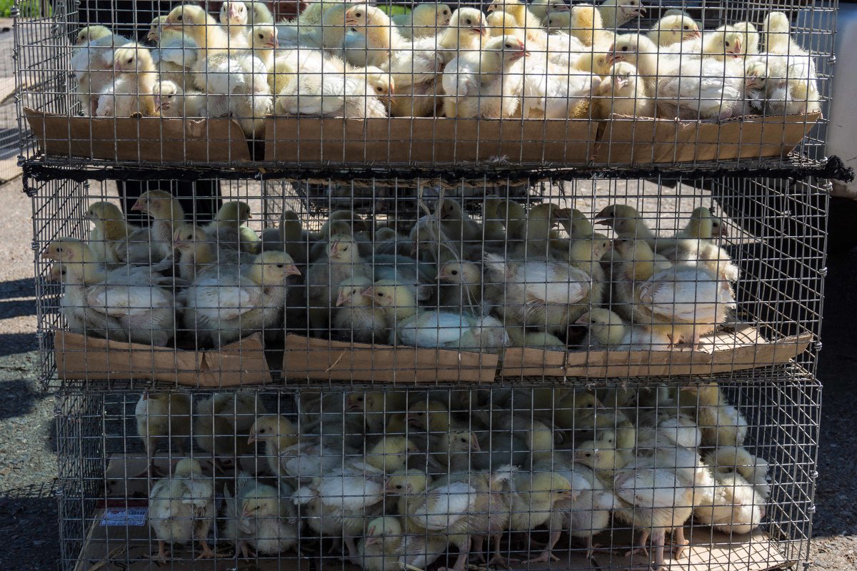 Трёх этажное общежитие - Андрей Мичурин