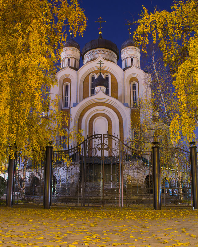 Собор - Александр Мартовецкий