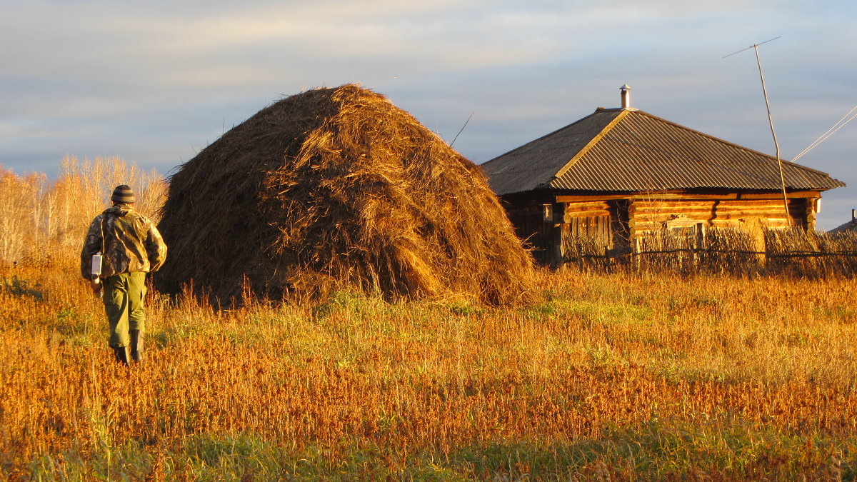 ... - Глеб Ставничий