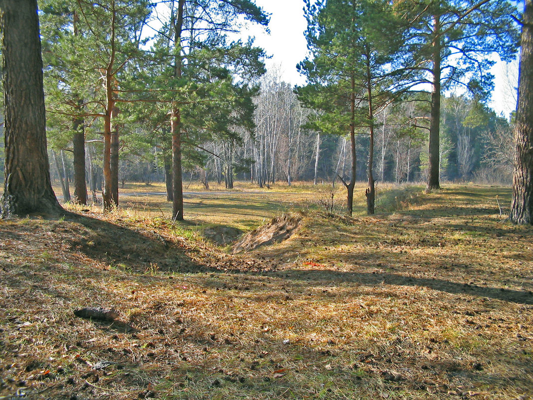 Осенний лес - Александр Ерофеев