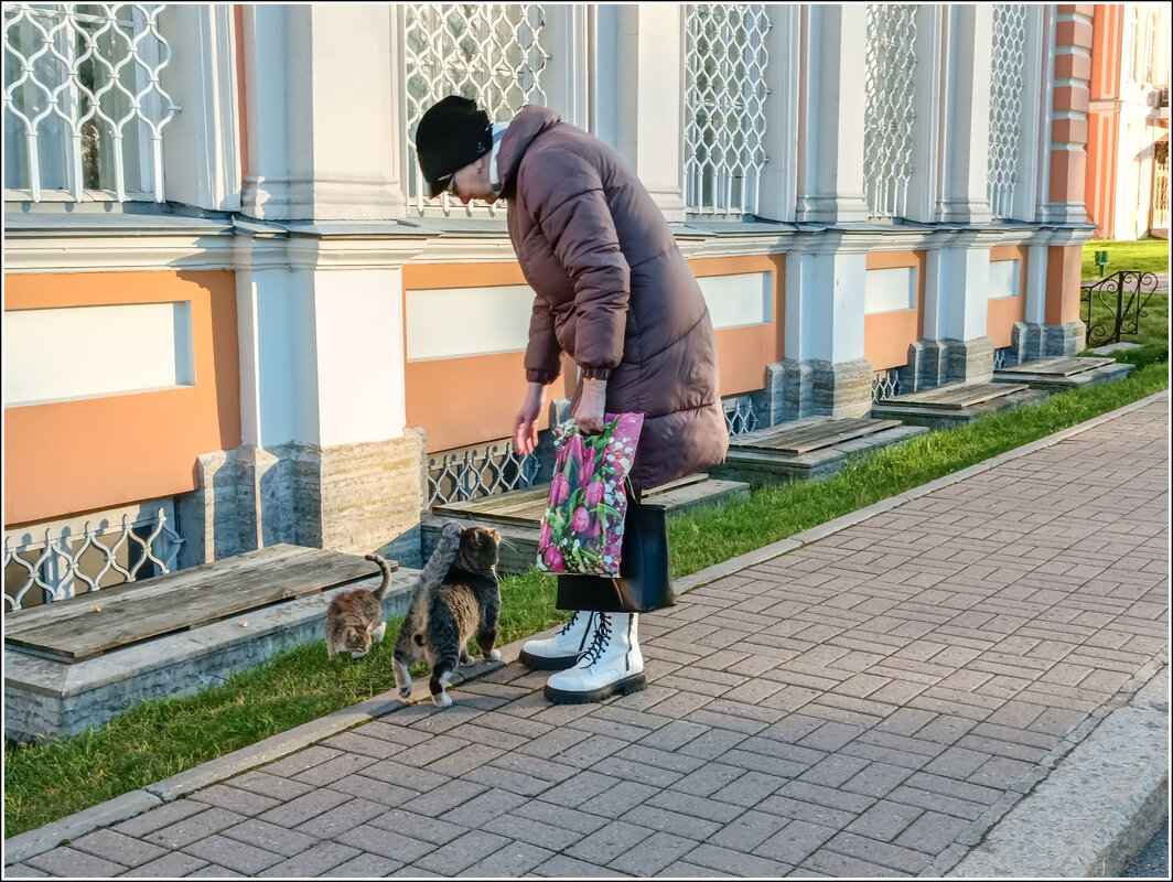 Всегда непрочь пообщаться - Любовь Зинченко 