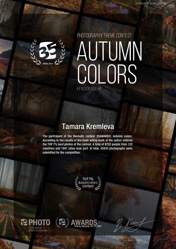 Краски осени диплом сайт 35 - tamara kremleva