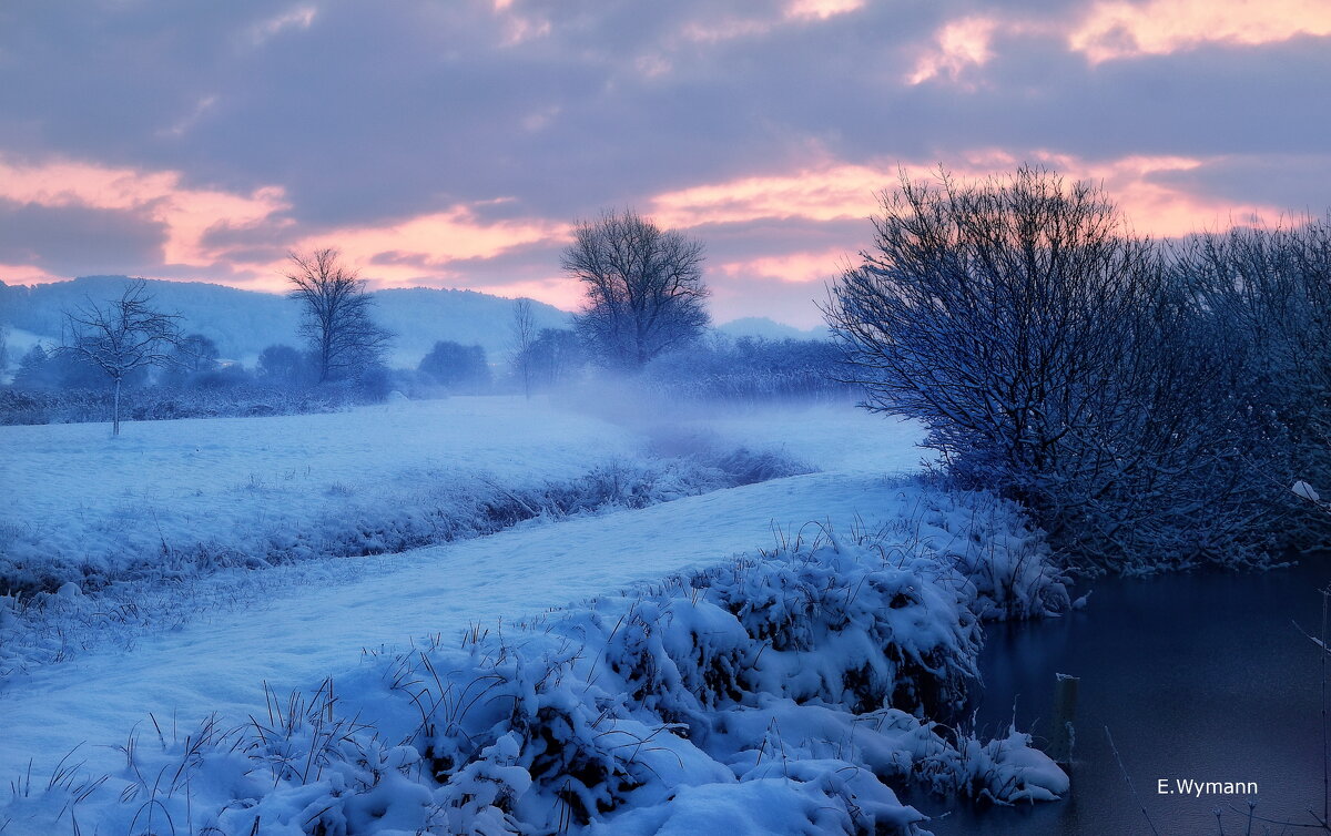 winter morning - Elena Wymann