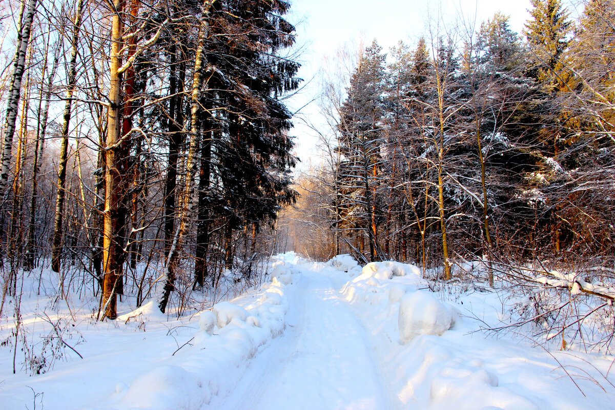 Зима - краснов юрий Зима - краснов юрий
