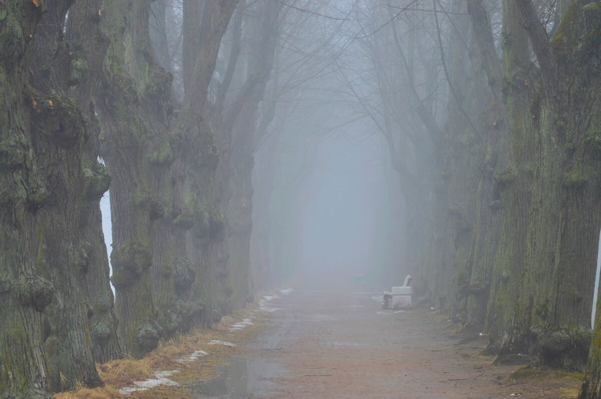 В парке весеннем...... - Юрий Цыплятников В парке весеннем...... - Юрий Цыплятников