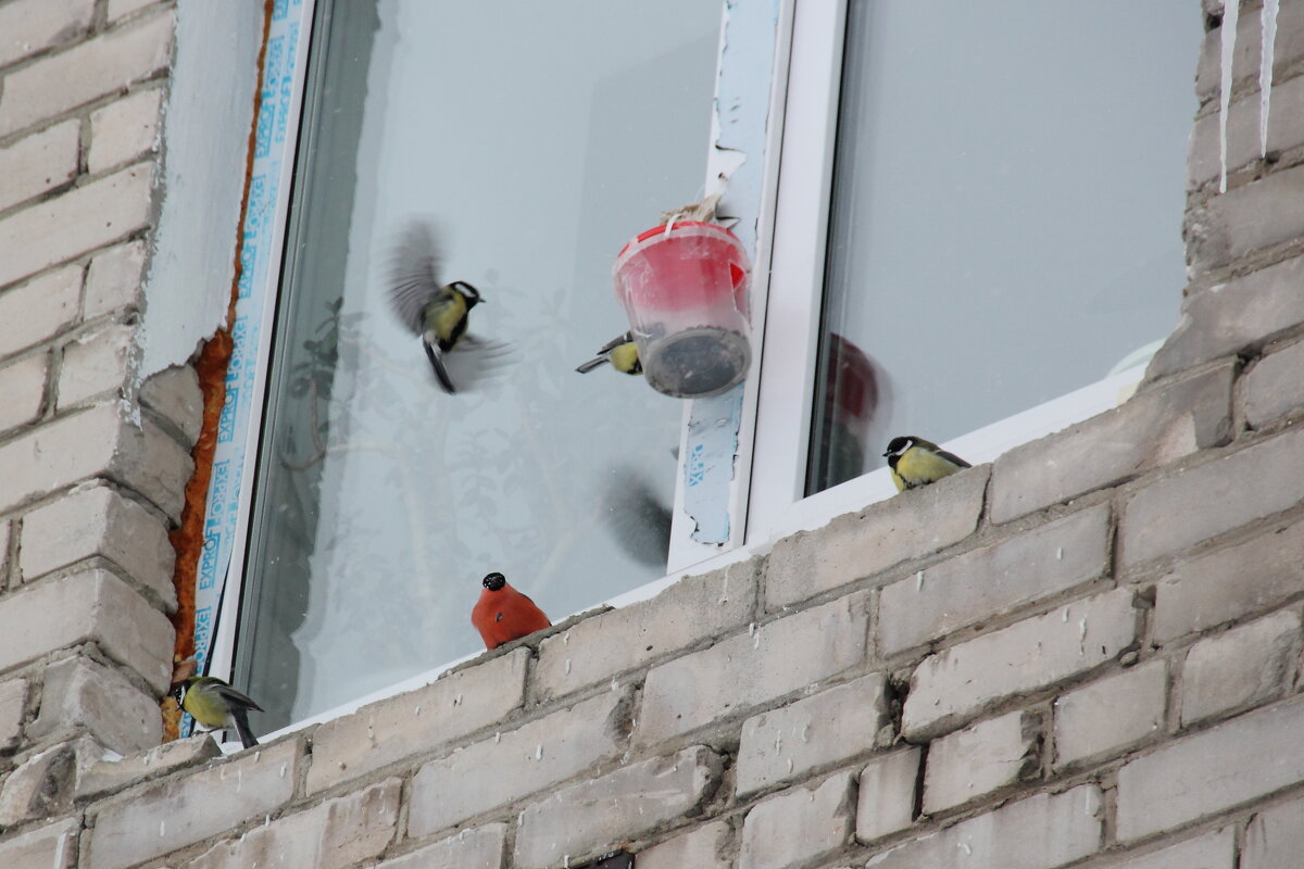 Очередь в столовую... - Наталья Воронцова