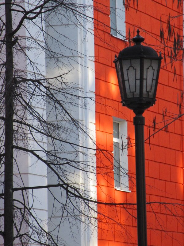 Воронеж в деталях - Елена Шаламова