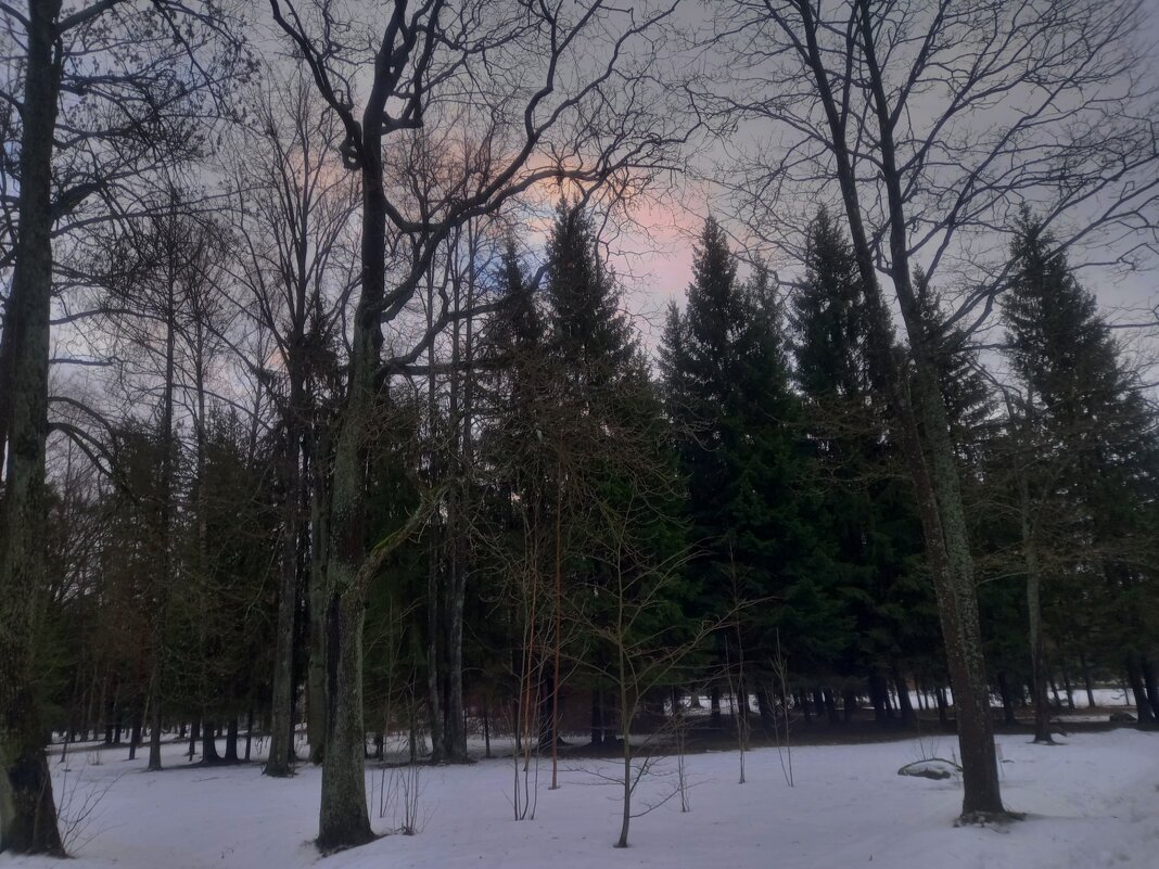 Закат - Сапсан 