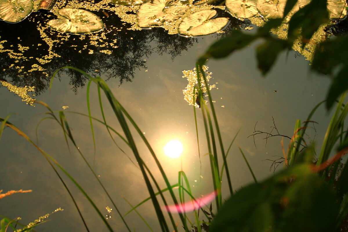 Состояние - олег свирский 