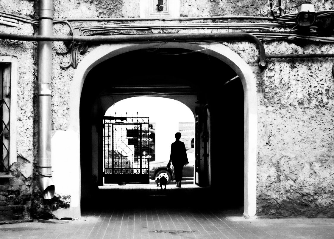 *** - Игорь Свет