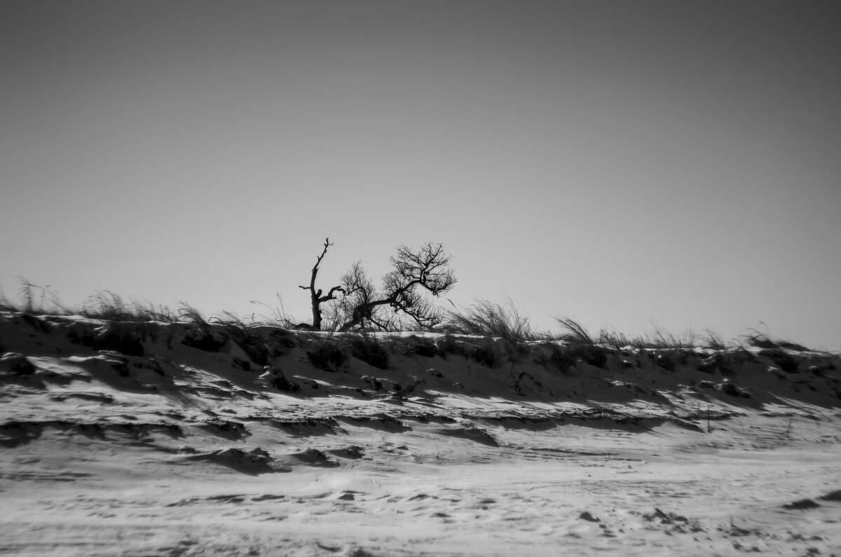 Winter - Evgenii Zlobin