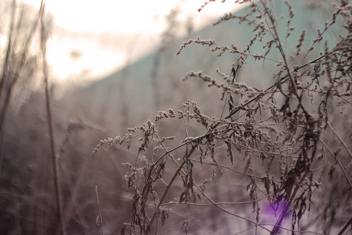 Зимняя нега - Olga Kaynova