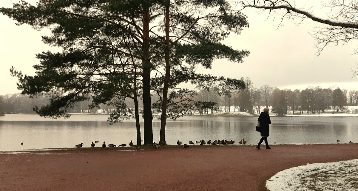 Екатерининский парк. Ноябрь - Наталья Герасимова