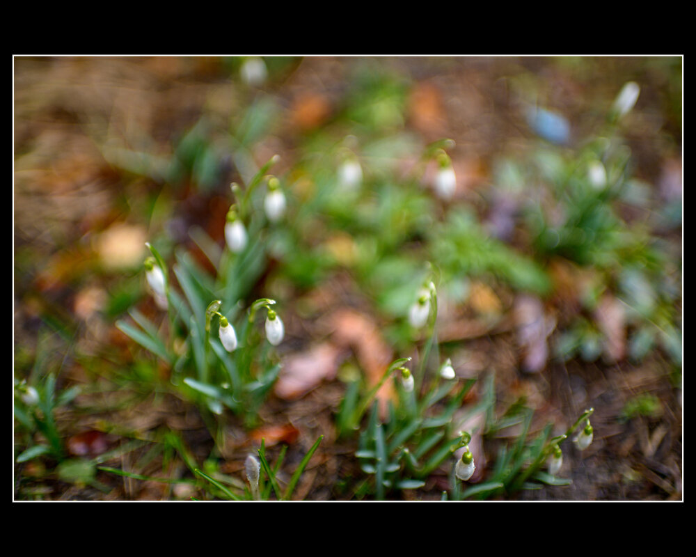 In spring there is something similar to the birth of life! - Игорь Суглоб