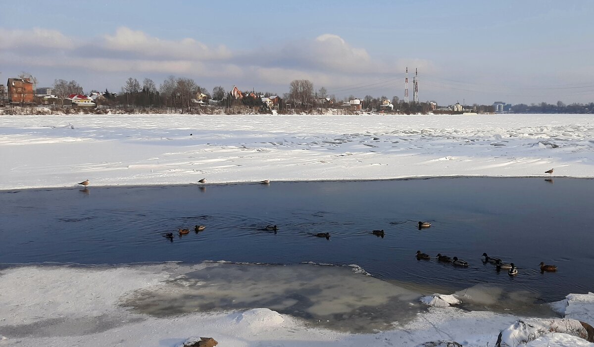 Нева. - Наталья Герасимова