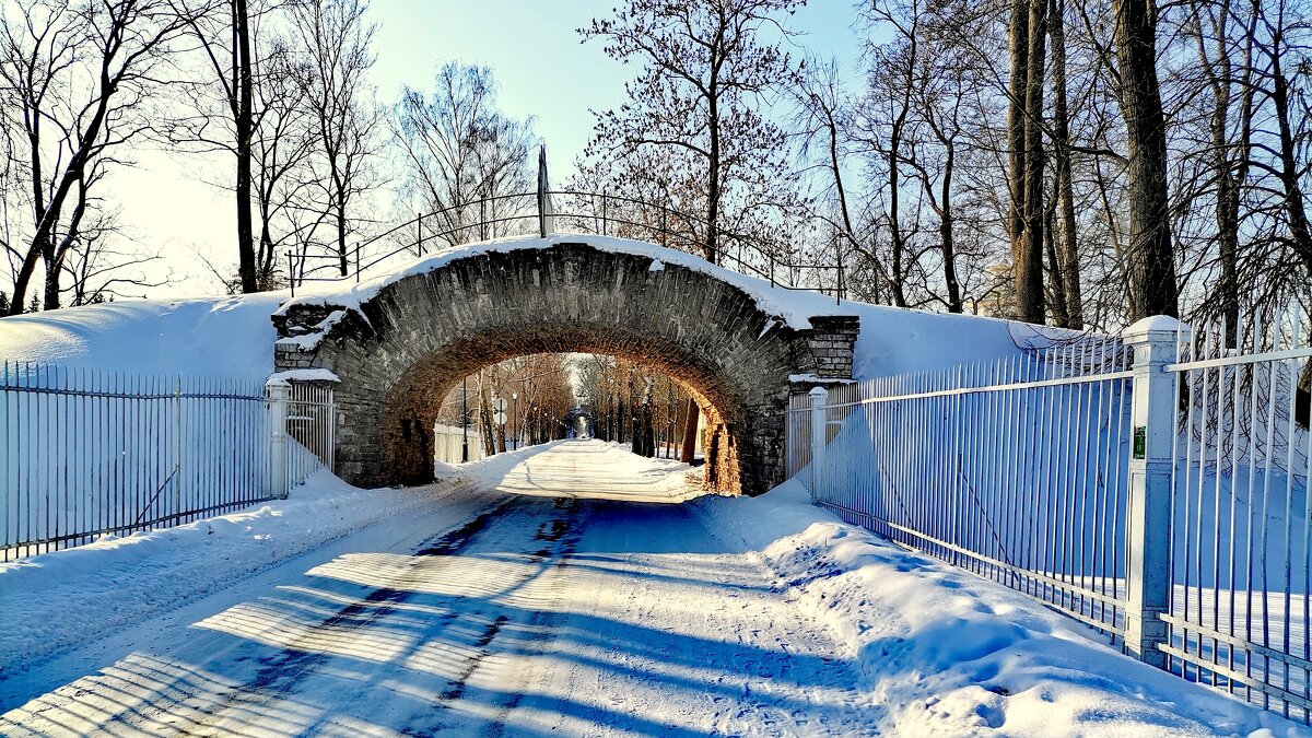 В парке зимой - Малый каприз - Сергей 